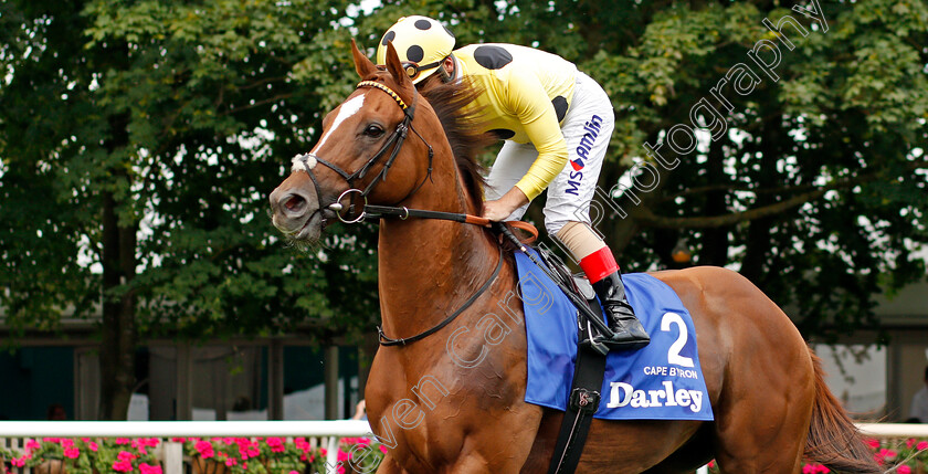 Cape-Byron-0002 
 CAPE BYRON (Andrea Atzeni)
Newmarket 13 Jul 2019 - Pic Steven Cargill / Racingfotos.com