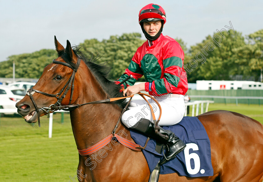 Magna-Of-Illusion-0001 
 MAGNA OF ILLUSION (Eoin Walsh)
Yarmouth 14 Jul 2021 - Pic Steven Cargill / Racingfotos.com