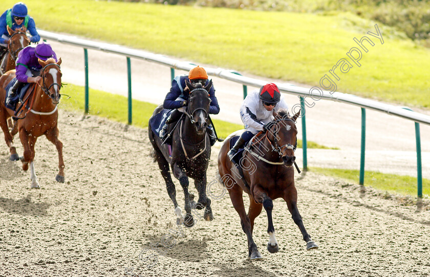 Golden-Mayflower-0003 
 GOLDEN MAYFLOWER (Silvestre De Sousa) wins The Coral EBF Fillies Restricted Novice Stakes
Lingfield 28 Oct 2021 - Pic Steven Cargill / Racingfotos.com