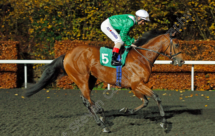 Lyricist-Voice-0001 
 LYRICIST VOICE (Andrea Atzeni)
Kempton 27 Nov 2019 - Pic Steven Cargill / Racingfotos.com