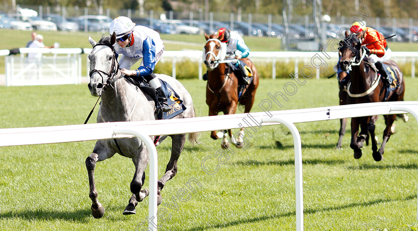 Rue-D Argent-0001 
 RUE D'ARGENT (Victoria Mota) wins Lady Jockeys Thoroughbred World Championship Round 2
Bro Park Sweden 5 Aug 2018 - Pic Steven Cargill / Racingfotos.com