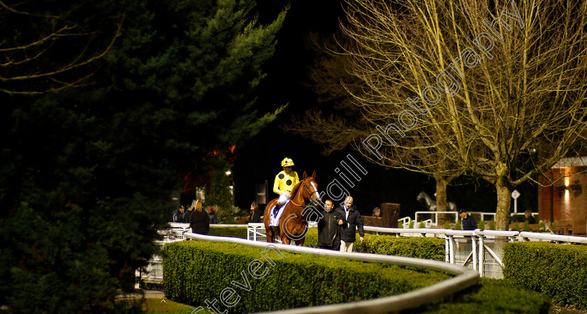 Going-Places-0001 
 GOING PLACES (Andrea Atzeni)
Kempton 17 Feb 2020 - Pic Steven Cargill / Racingfotos.com