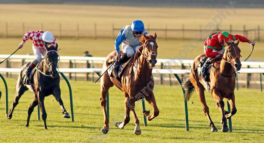 Felix-0004 
 FELIX (centre, Ryan Moore) beats QUICK (right) and VOICE OF CALM (left) in The Newmarket Challenge Whip
Newmarket 26 Sep 2019 - Pic Steven Cargill / Racingfotos.com