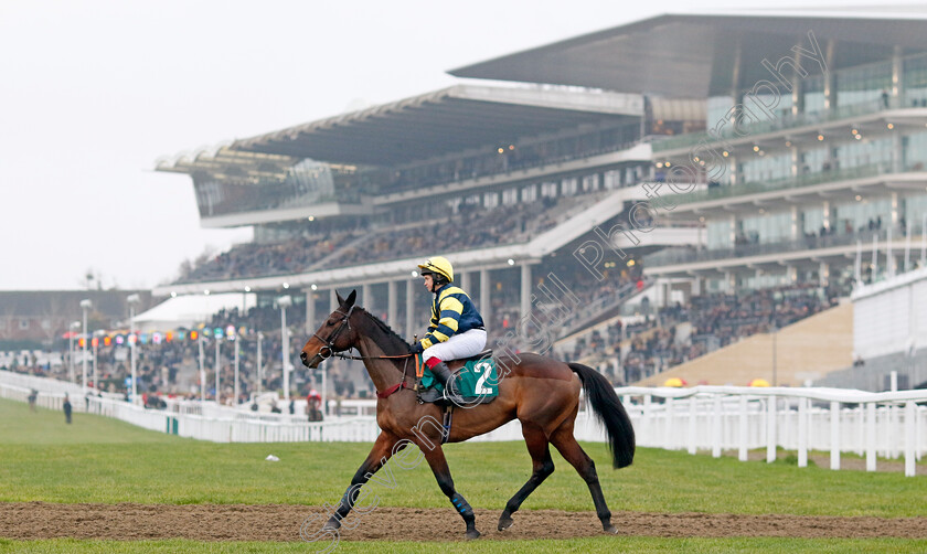 Chambard-0001 
 CHAMBARD (Lucy Turner)
Cheltenham 13 Dec 2024 - Pic Steven Cargill / Racingfotos.com