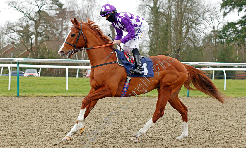 Mums-Tipple-0001 
 MUMS TIPPLE (Ryan Moore)
Lingfield 6 Feb 2021 - Pic Steven Cargill / Racingfotos.com