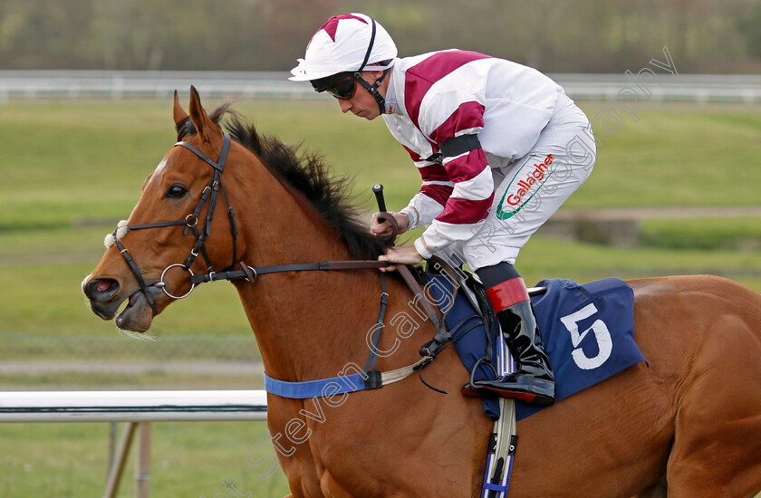 Voix-De-Bocelli-0001 
 VOIX DE BOCELLI (Shane Kelly)
Lingfield 4 Apr 2024 - Pic Steven Cargill / Racingfotos.com