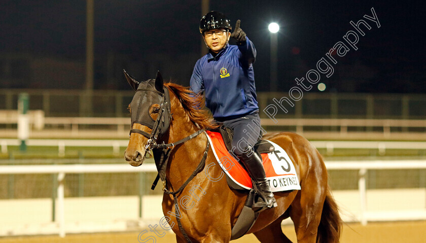 T-O-Keynes-0003 
 T O KEYNES training for the Dubai World Cup
Meydan, Dubai, 21 Mar 2023 - Pic Steven Cargill / Racingfotos.com