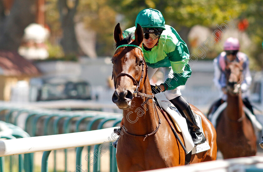 Montjica-0001 
 MONTJICA (Coralie Pacaut)
Deauville 6 Aug 2022 - Pic Steven Cargill / Racingfotos.com