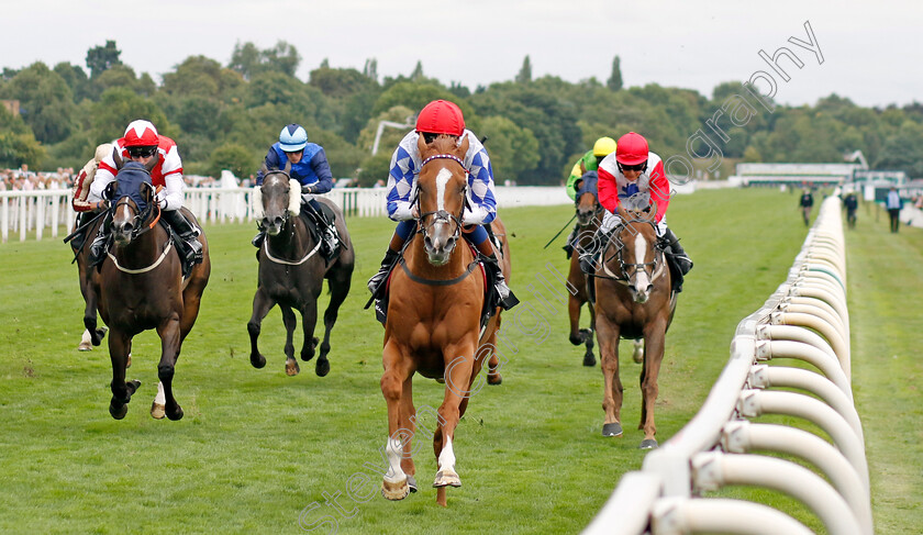 Designer-0002 
 DESIGNER (David Egan) wins The Celebrate ITM's 200th Ire Voucher Winner Handicap
York 17 Aug 2022 - Pic Steven Cargill / Racingfotos.com