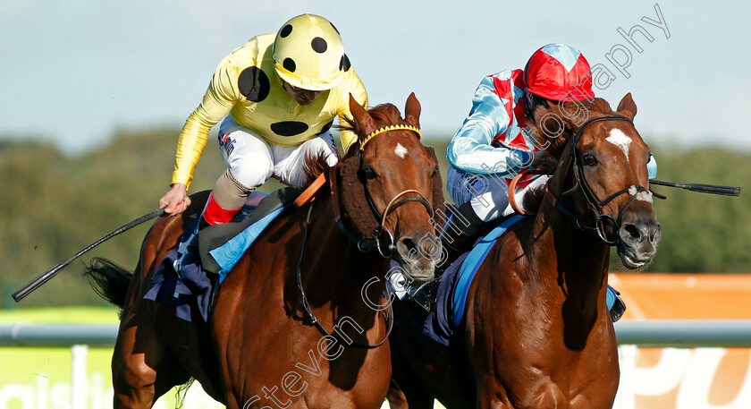 Mount-Logan-0005 
 MOUNT LOGAN (left, Andrea Atzeni) beats RED VERDON (right) in The Sports ID Strength In Sport Stakes Doncaster 13 Sep 2017 - pic Steven Cargill / Racingfotos.com