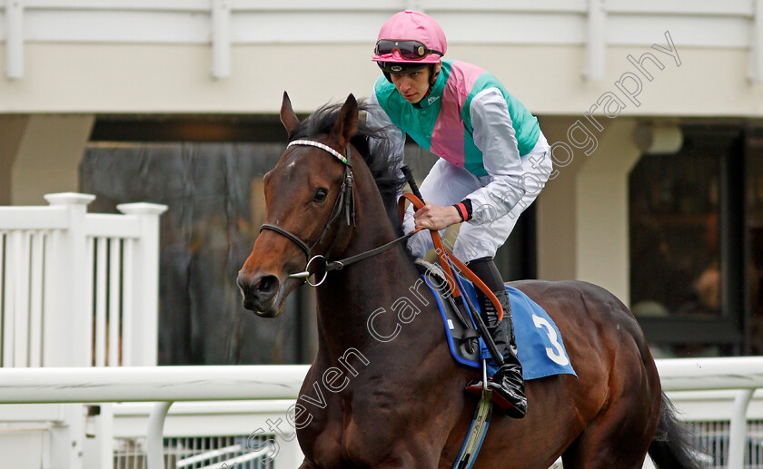 Construct-0002 
 CONSTRUCT (Louis Steward) Salisbury 29 Apr 2018 - Pic Steven Cargill / Racingfotos.com