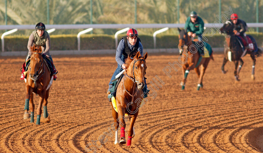 Sealiway-0002 
 SEALIWAY training for The Saudi Cup
King Abdulaziz Racetrack, Riyadh, Saudi Arabia 22 Feb 2022 - Pic Steven Cargill / Racingfotos.com