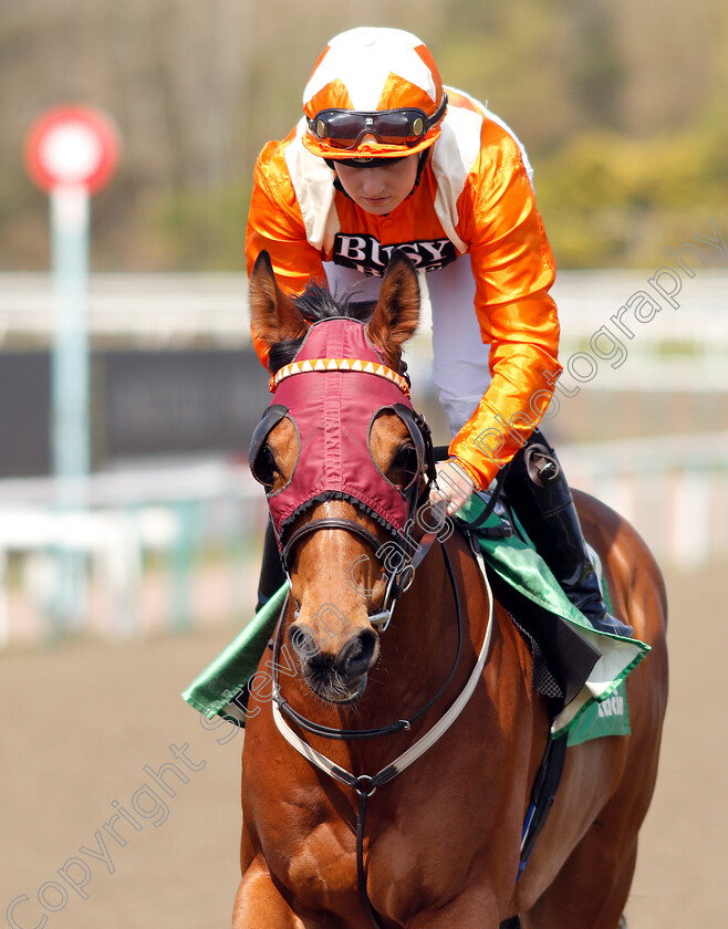 Goring-0001 
 GORING (Georgia Dobie) winner of The Sun Racing All-Weather Championships Apprentice Handicap
Lingfield 19 Apr 2019 - Pic Steven Cargill / Racingfotos.com