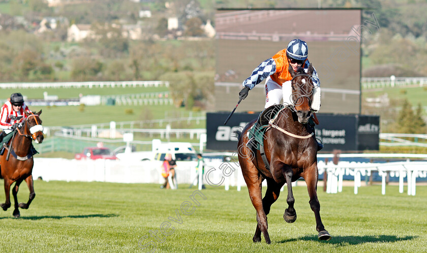 Hawthorn-Cottage-0001 
 HAWTHORN COTTAGE (Lucy Barry) wins The Spreadex Sports Betting Mares' Standard Open National Hunt Flat Race Cheltenham 19 Apr 2018 - Pic Steven Cargill / Racingfotos.com