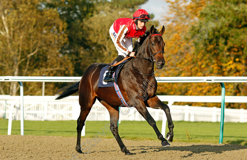 Honky-Tonk-Man-0001 
 HONKY TONK MAN (Trevor Whelan) winner of The Watch Racing Free Online At Coral EBF Novice Stakes
Lingfield 28 Oct 2021 - Pic Steven Cargill / Racingfotos.com