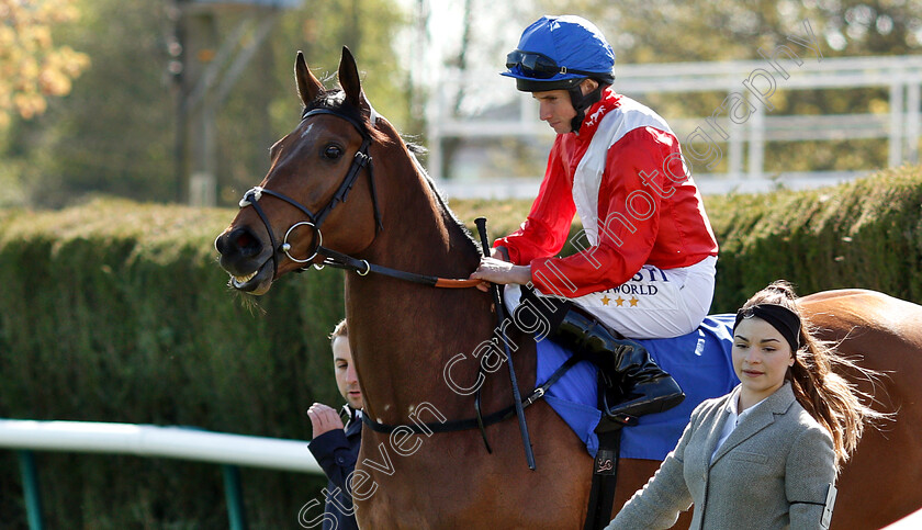 Pilaster-0001 
 PILASTER (Ryan Moore)
Nottingham 10 Apr 2019 - Pic Steven Cargill / Racingfotos.com