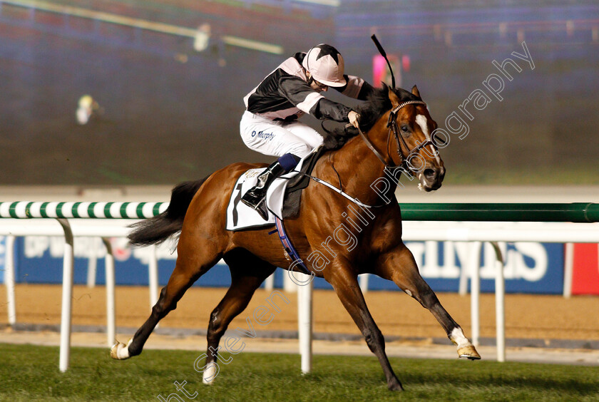 Hit-The-Bid-0004 
 HIT THE BID (Oisin Murphy) wins The Watch Time Handicap Meydan 8 Feb 2018 - Pic Steven Cargill / Racingfotos.com