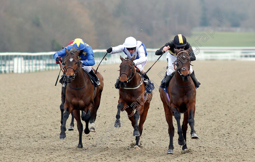 Spirit-Warning-0004 
 SPIRIT WARNING (Joshua Bryan) beats HYPNOS (left) and PORT OF LEITH (centre) in The Ladbrokes Home of The Odds Boost Handicap
Lingfield 2 Feb 2019 - Pic Steven Cargill / Racingfotos.com