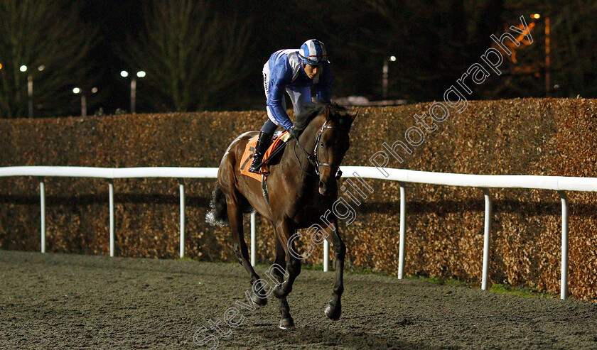 Jahbath-0002 
 JAHBATH (Jim Crowley) before The Road To The Kentucky Derby Stakes
Kempton 6 Mar 2019 - Pic Steven Cargill / Racingfotos.com