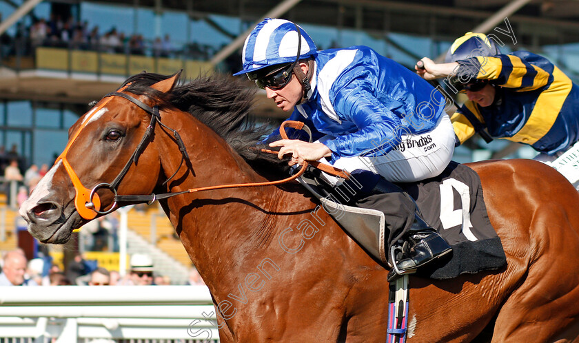 Tabarrak-0003 
 TABARRAK (Jim Crowley) wins The Dubai Duty Free Cup Stakes
Newbury 20 Sep 2019 - Pic Steven Cargill / Racingfotos.com