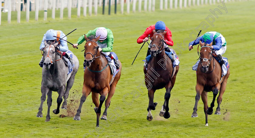 Breege-0007 
 BREEGE (2nd left, Colin Keane) beats SHOULDVEBEENARING (left) AUDIENCE (2nd right) and VAFORTINO (right) in The Sky Bet City Of York Stakes
York 24 Aug 2024 - Pic Steven Cargill / Racingfotos.com