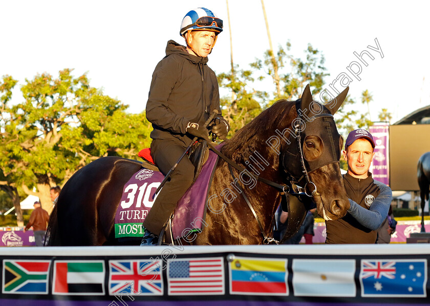 Mostahdaf-0001 
 MOSTAHDAF (Jim Crowley) training for the Breeders' Cup Turf
Santa Anita USA, 1 Nov 2023 - Pic Steven Cargill / Racingfotos.com