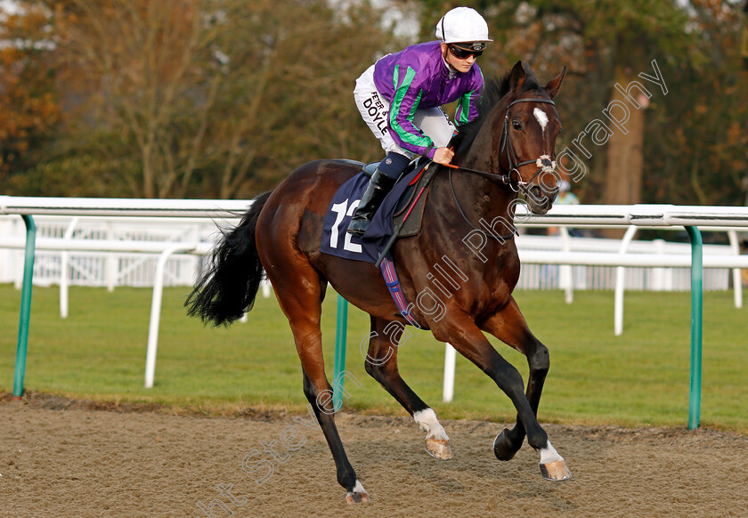 Ay-Ay-0001 
 AY AY (Hollie Doyle) Lingfield 21 Nov 2017 - Pic Steven Cargill / Racingfotos.com