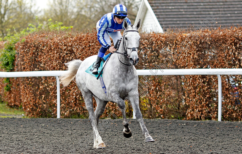 Spanish-Vega-0001 
 SPANISH VEGA (Benoit de la Sayette)
Kempton 3 Apr 2024 - Pic Steven Cargill / Racingfotos.com