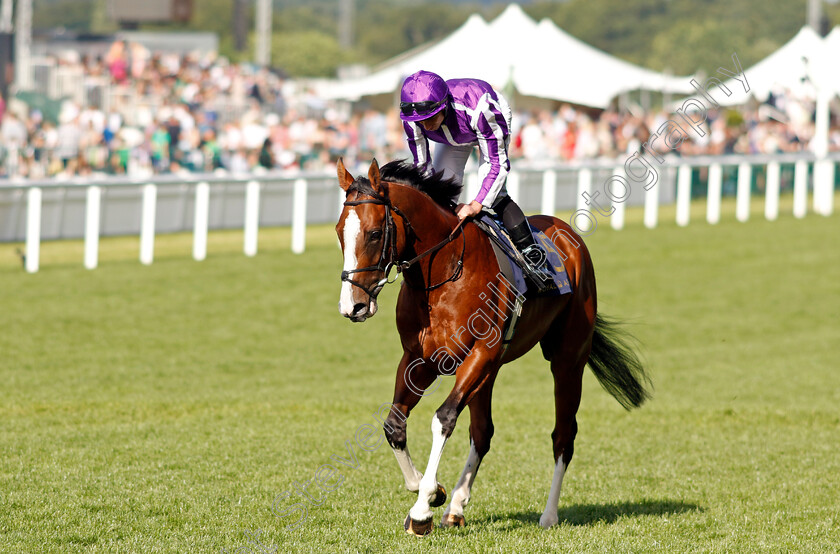 Diego-Velazquez-0001 
 DIEGO VELAZQUEZ (Ryan Moore)
Royal Ascot 21 Jun 2024 - Pic Steven Cargill / Racingfotos.com