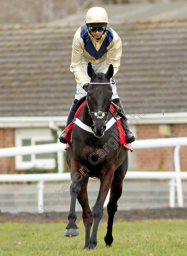 Bhaloo-0001 
 BHALOO (Nico de Boinville)
Kempton 22 Feb 2025 - Pic Steven Cargill / Racingfotos.com