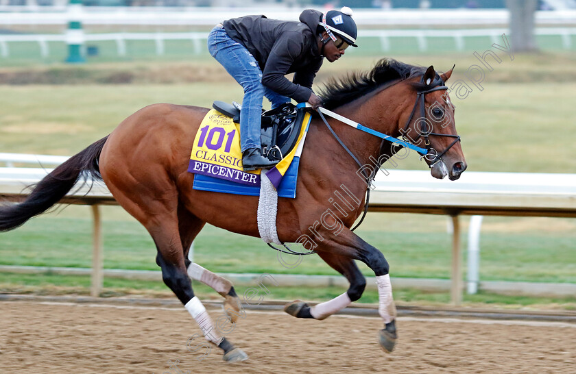 Epicenter-0001 
 EPICENTER training for the Breeders' Cup Classic
Keeneland USA 2 Nov 2022 - Pic Steven Cargill / Racingfotos.com