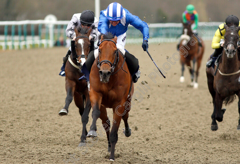 Fanaar-0007 
 FANAAR (Jim Crowley) wins The Ladbrokes Spring Cup Stakes
Lingfield 2 Mar 2019 - Pic Steven Cargill / Racingfotos.com