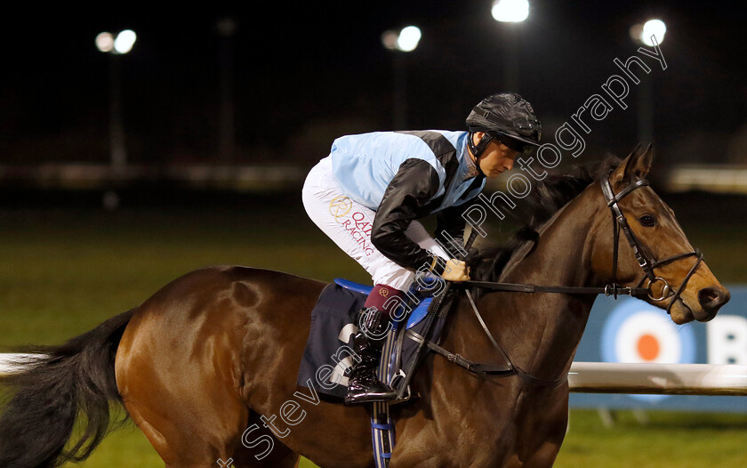 Astral-Sea-0002 
 ASTRAL SEA (Cieren Fallon)
Wolverhampton 20 Dec 2024 - Pic Steven Cargill / Racingfotos.com