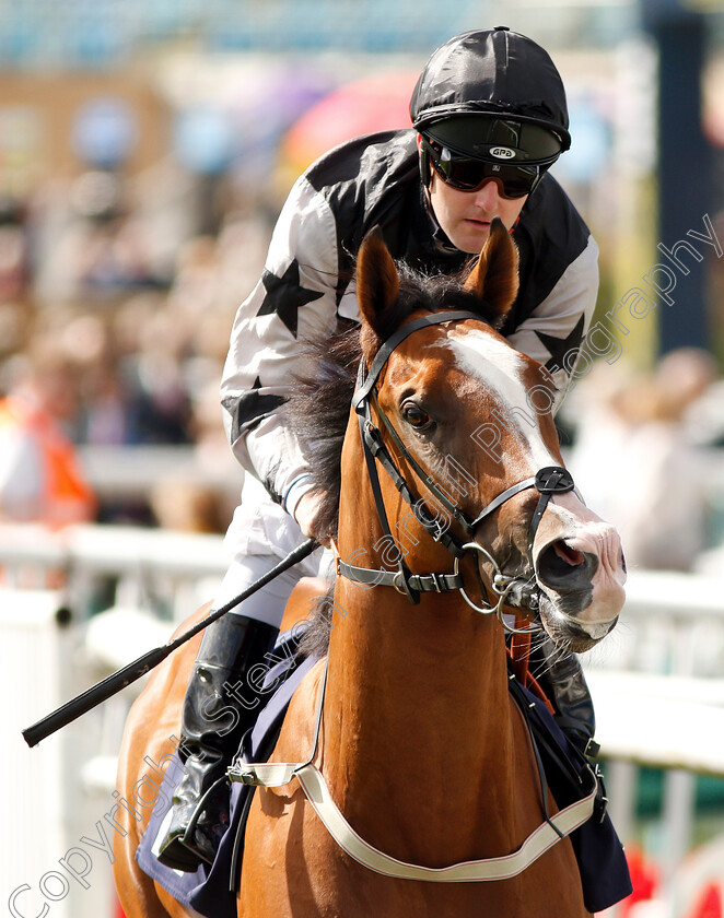 Alfie-Solomons-0001 
 ALFIE SOLOMONS (Tom Queally)
Doncaster 12 Sep 2018 - Pic Steven Cargill / Racingfotos.com