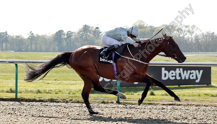 Matterhorn-0009 
 MATTERHORN (Joe Fanning) beats Betway Easter Classic All-Weather Middle Distance Championships Stakes
Lingfield 19 Apr 2019 - Pic Steven Cargill / Racingfotos.com