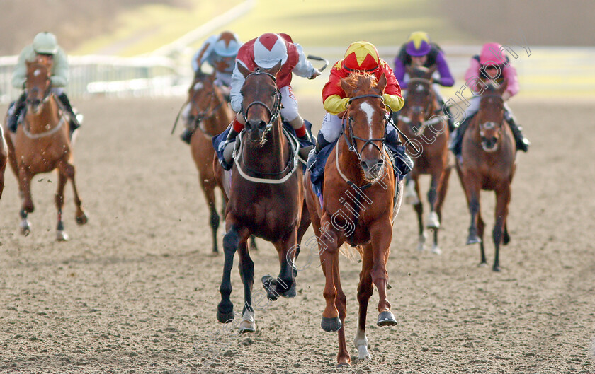 Harrison-Point-0001 
 HARRISON POINT (Hollie Doyle) beats THE WEED MACHINE (left) in The Ladbrokes Where The Nation Plays EBF Novice Stakes
Lingfield 9 Dec 2019 - Pic Steven Cargill / Racingfotos.com