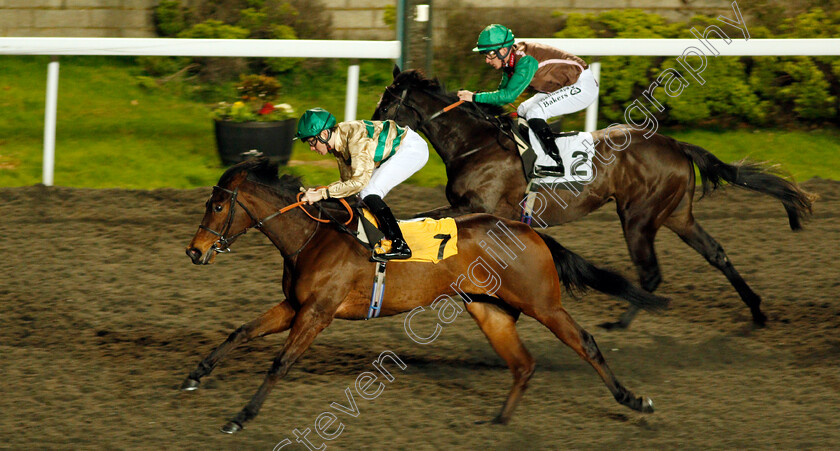 Inevitable-Outcome-0006 
 INEVITABLE OUTCOME (Callum Shepherd) wins The 32Red.com Handicap
Kempton 17 Feb 2020 - Pic Steven Cargill / Racingfotos.com