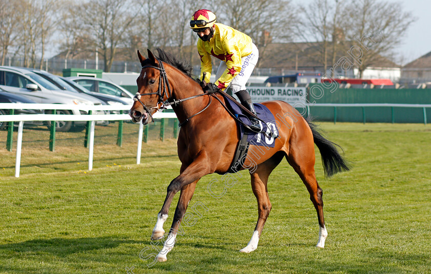 Merci-Percy-0001 
 MERCI PERCY (Marco Ghiani)
Yarmouth 20 Apr 2021 - Pic Steven Cargill / Racingfotos.com