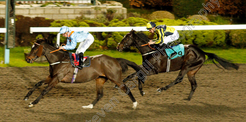 Lexington-Law-0004 
 LEXINGTON LAW (David Probert) beats GET BACK GET BACK (right) in The 32Red Handicap
Kempton 12 Dec 2018 - Pic Steven Cargill / Racingfotos.com