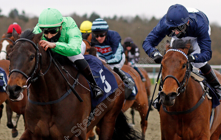 Arctic-Sea-0004 
 ARCTIC SEA (left, Mohammed Tabti) beats SONGKRAN (right) in The Betway Handicap
Lingfield 19 Feb 2021 - Pic Steven Cargill / Racingfotos.com