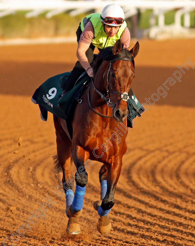 Mishriff-0006 
 MISHRIFF training for The Saudi Cup
King Abdulaziz Racetrack, Riyadh, Saudi Arabia 23 Feb 2022 - Pic Steven Cargill / Racingfotos.com