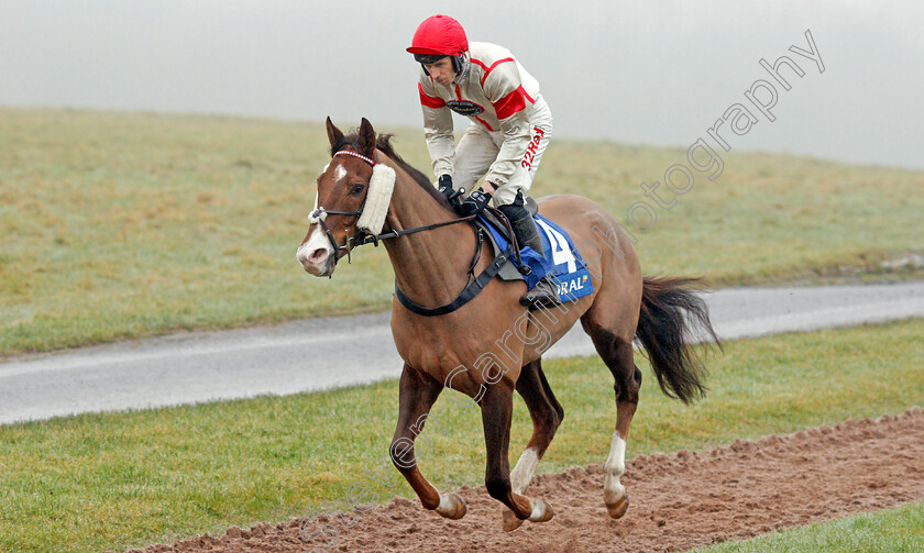 Elysian-Flame-0001 
 ELYSIAN FLAME (Paddy Brennan)
Chepstow 27 Dec 2019 - Pic Steven Cargill / Racingfotos.com