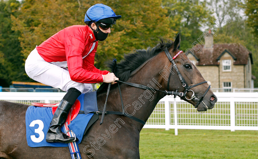 Fundamental-0001 
 FUNDAMENTAL (Martin Harley)
Salisbury 1 Oct 2020 - Pic Steven Cargill / Racingfotos.com