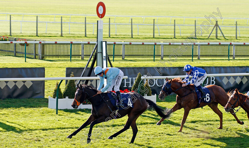 Lexington-Grace-0005 
 LEXINGTON GRACE (Sean Levey) wins The Newmarket Equine Security Nursery Newmarket 25 Oct 2017 - Pic Steven Cargill / Racingfotos.com