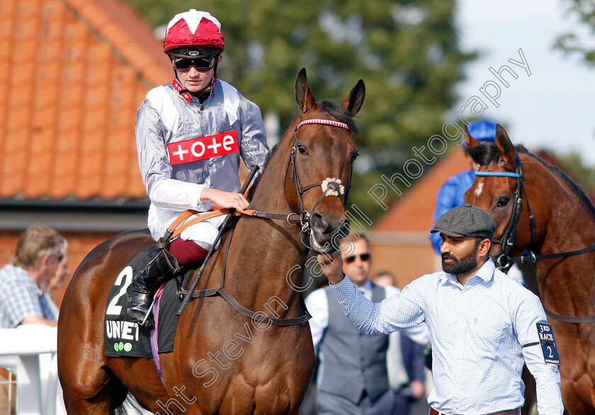 By-Starlight-0001 
 BY STARLIGHT (Rob Hornby)
Newmarket 24 Sep 2021 - Pic Steven Cargill / Racingfotos.com