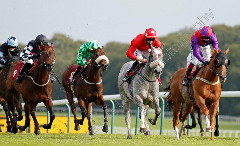 Shepherds-Way-0007 
 SHEPHERDS WAY (2nd right, Clifford Lee) beats SOMEWHERE SECRET (right) and FOX HILL (left) in The Betfair Exchange Handicap
Haydock 4 Sep 2020 - Pic Steven Cargill / Racingfotos.com