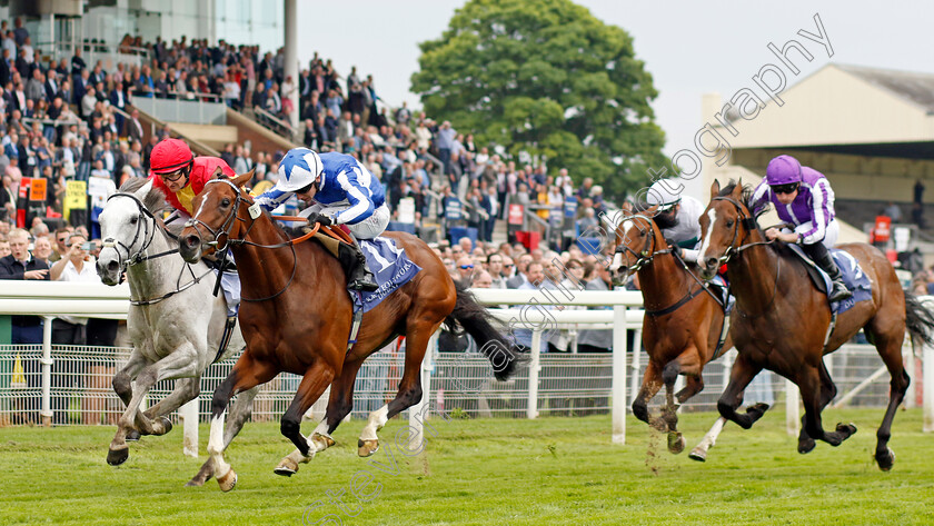 The-Foxes-0007 
 THE FOXES (Oisin Murphy) beats WHITE BIRCH (left) in The Al Basti Equiworld Dubai Dante Stakes
York 18 May 2023 - Pic Steven Cargill / Racingfotos.com