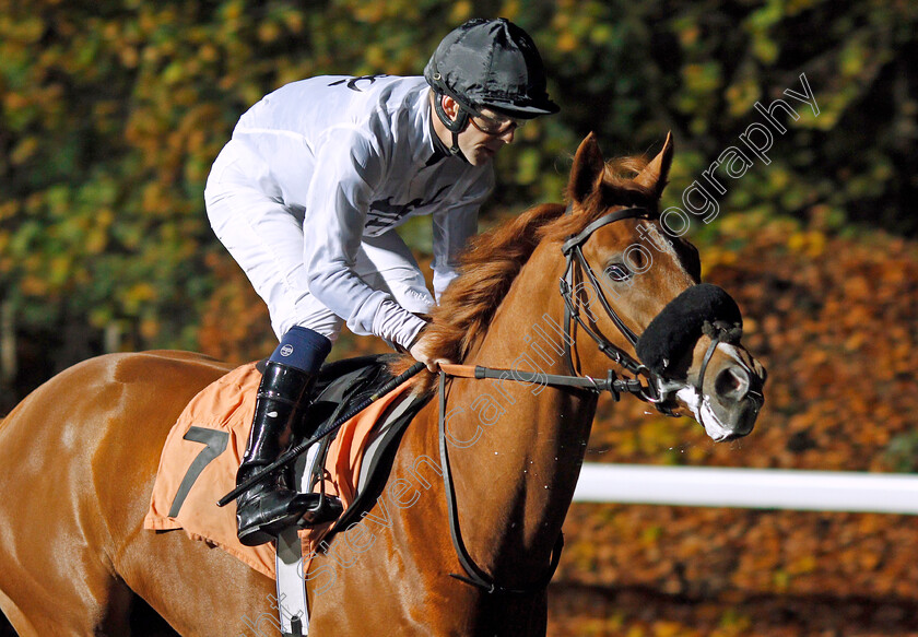 Hong-Kong-Dragon-0001 
 HONG KONG DRAGON (Ben Curtis)
Kempton 27 Nov 2019 - Pic Steven Cargill / Racingfotos.com