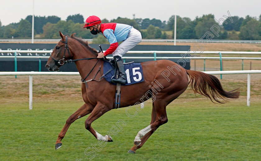 Nightswimming-0001 
 NIGHTSWIMMING (Jason Watson)
Lingfield 14 Aug 2020 - Pic Steven Cargill / Racingfotos.com