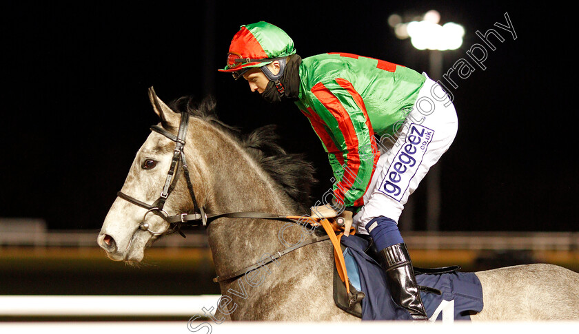 Don t-Look-Back-0001 
 DON'T LOOK BACK (David Probert)
Wolverhampton 12 Mar 2021 - Pic Steven Cargill / Racingfotos.com